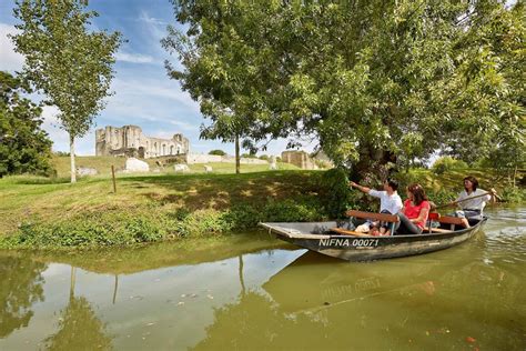 Explora la Venecia Verde